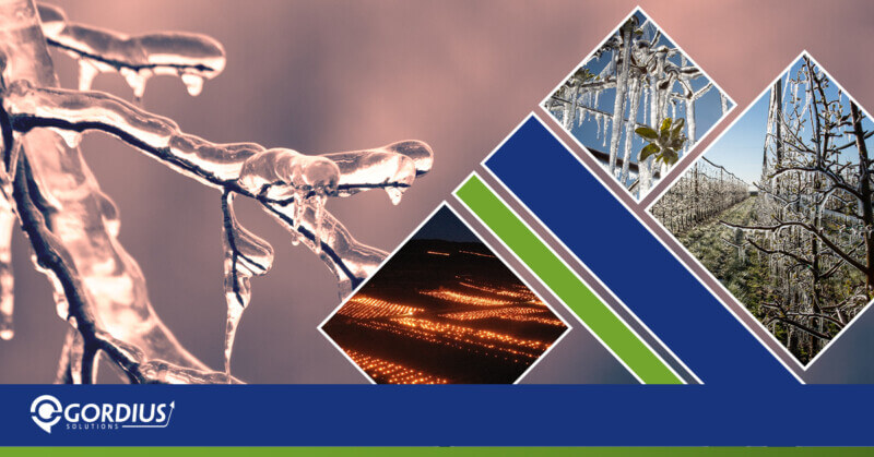 Mezőgazdasági kisüzemek fejlesztése