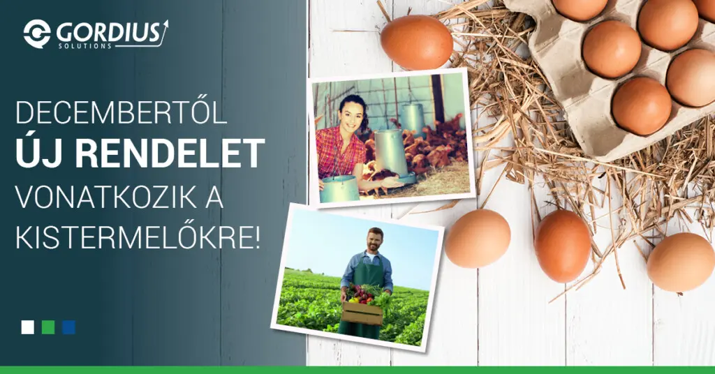 kistermelői rendelet