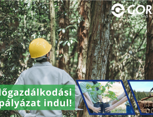 Új erdőgazdálkodási pályázat, akár 400 milliós támogatással!