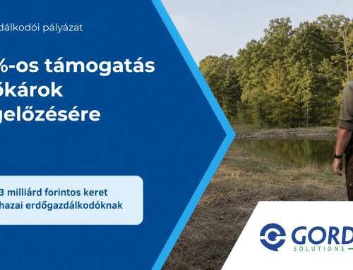 Hatalmas lehetőségeket rejt a legújabb erdőgazdálkodó pályázat a hazai termelőknek